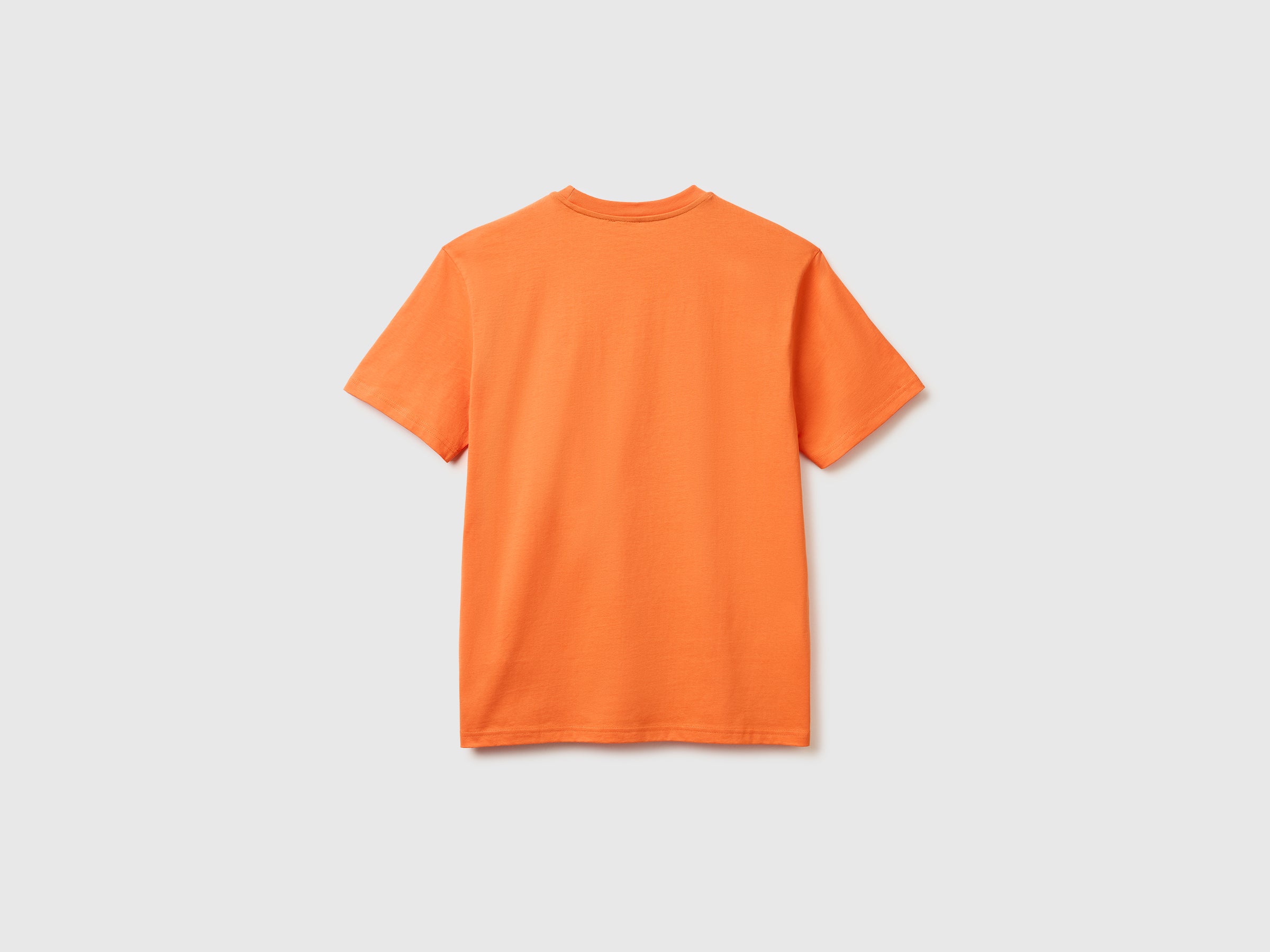 Organic cotton t-shirt - ucb_image_BS