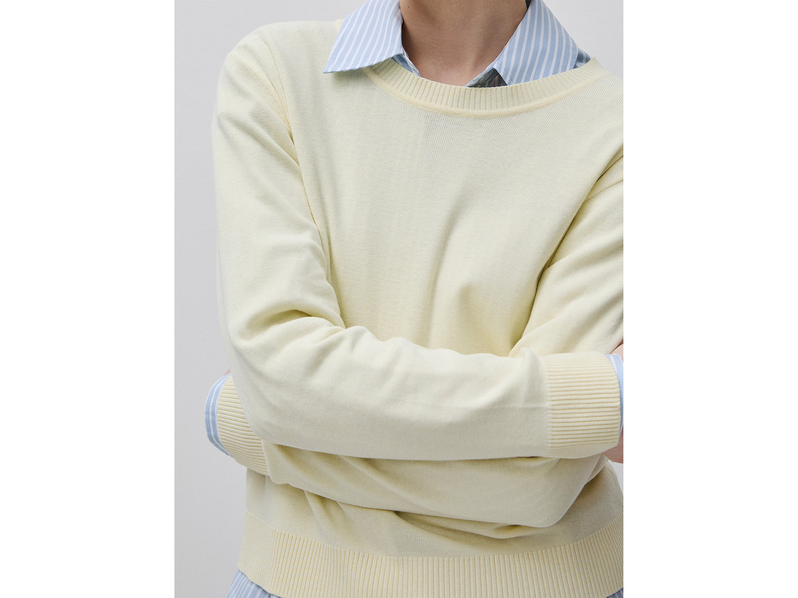 Light yellow sweater in cotton tricot
