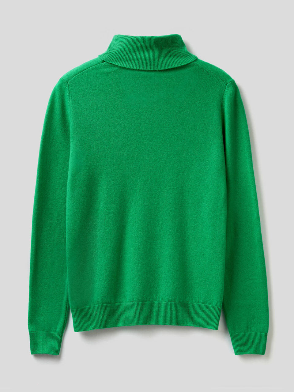 Turtleneck sweater in pure virgin wool image number 2