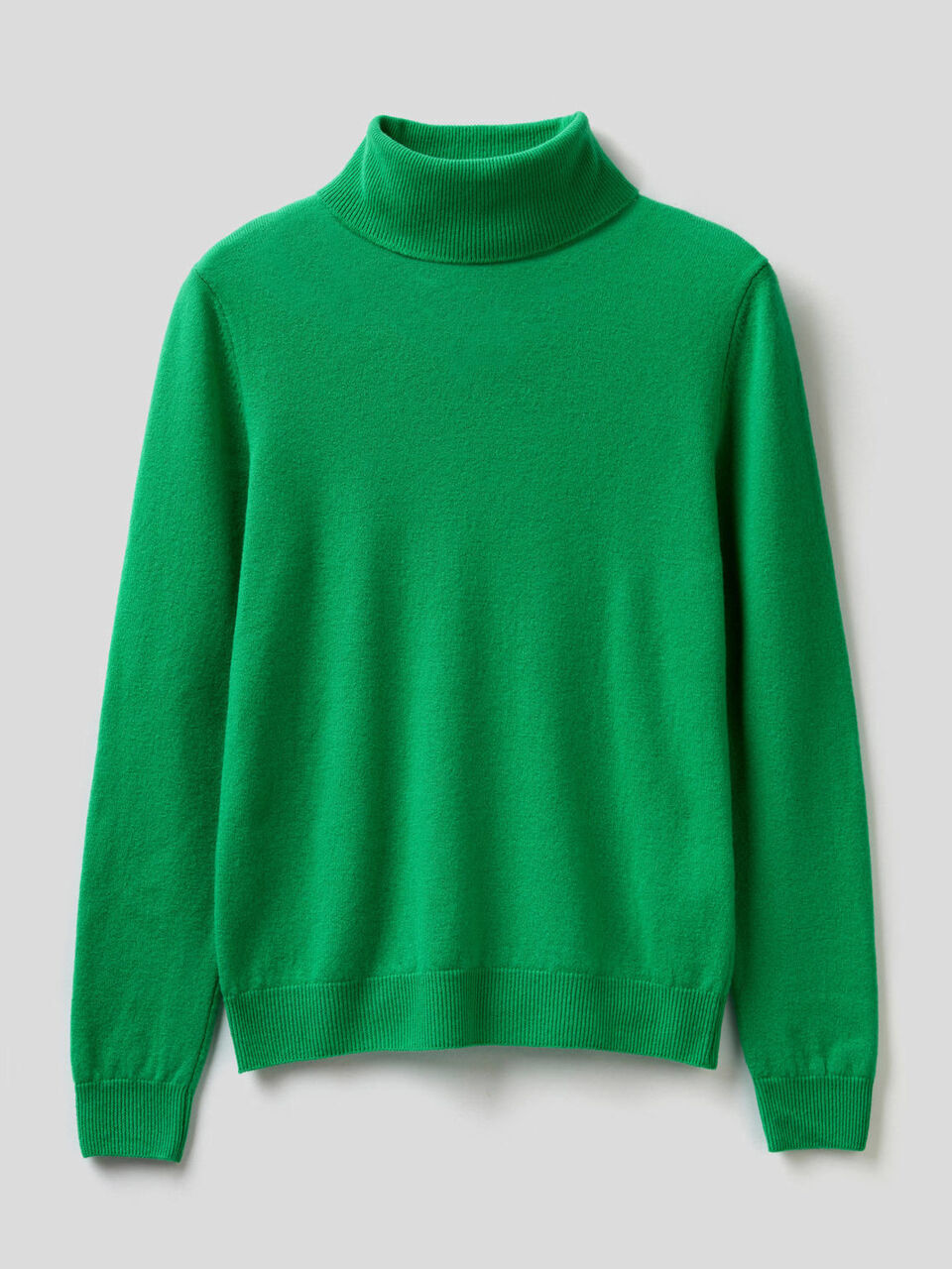 Turtleneck sweater in pure virgin wool image number 1
