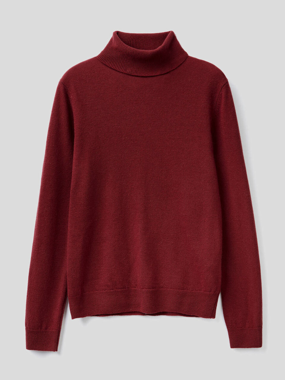 Turtleneck sweater in pure virgin wool image number 1