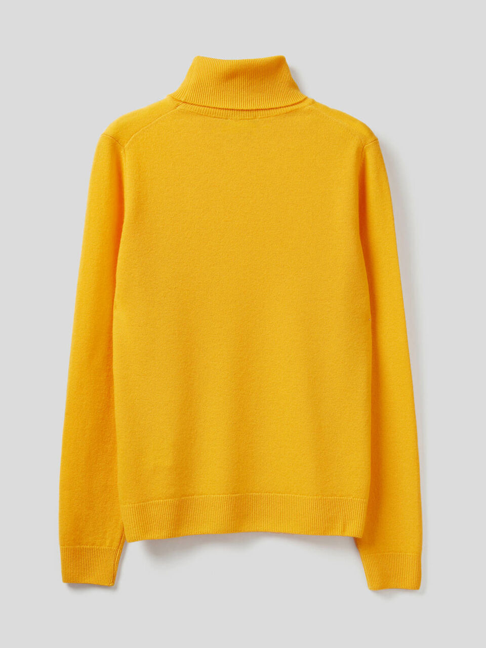 Turtleneck sweater in pure virgin wool image number 2