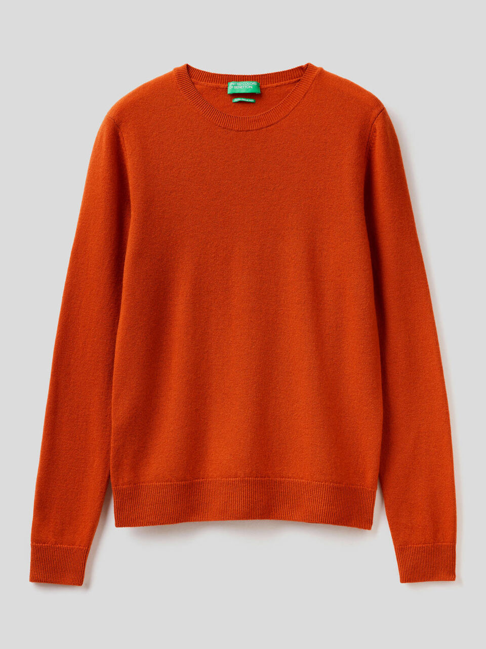 Crew neck sweater in pure virgin wool image number 1