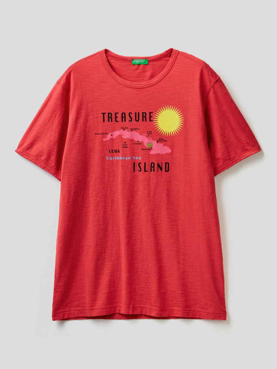 Pure cotton t-shirt with print image number 1