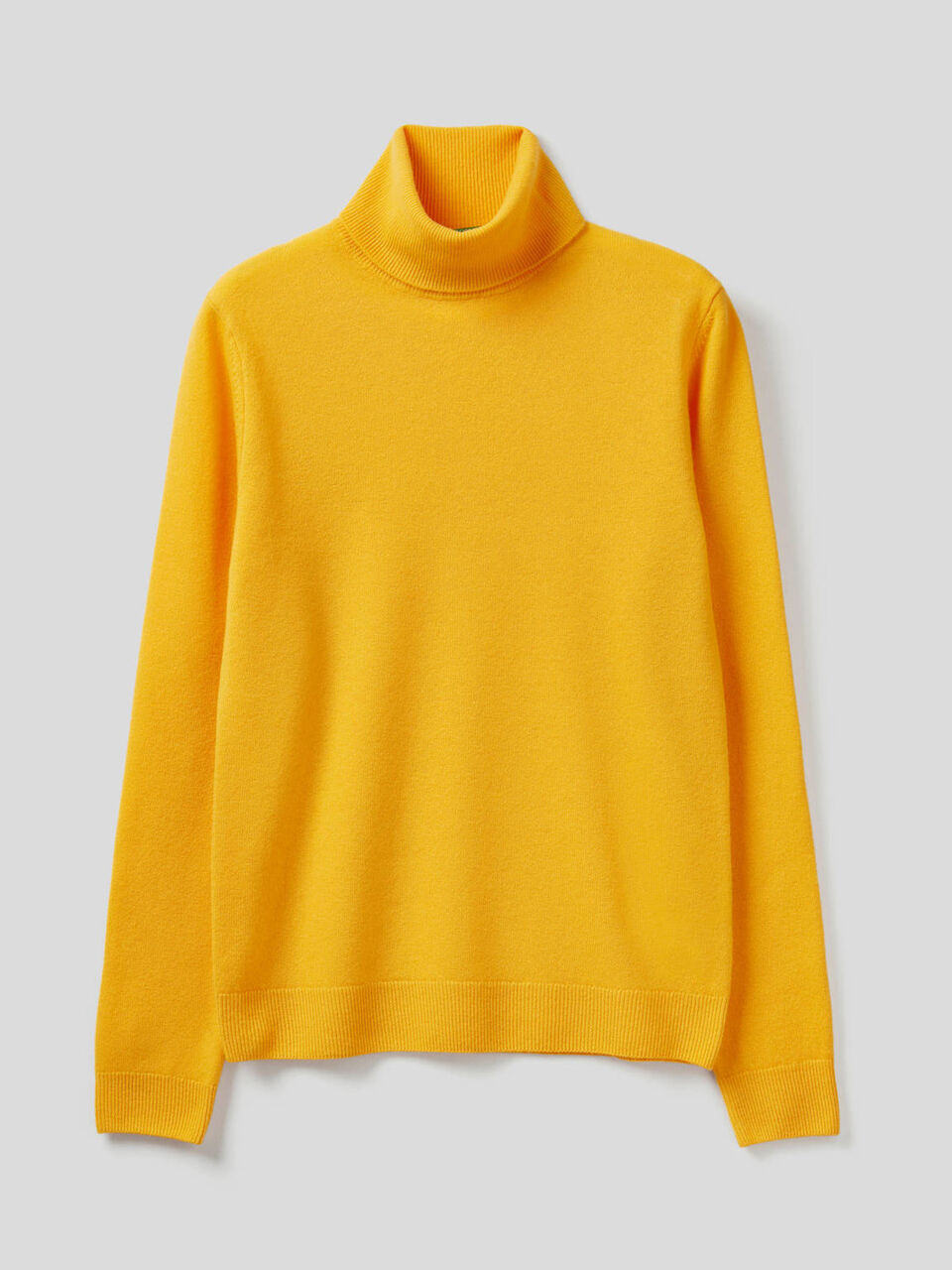 Turtleneck sweater in pure virgin wool image number 1